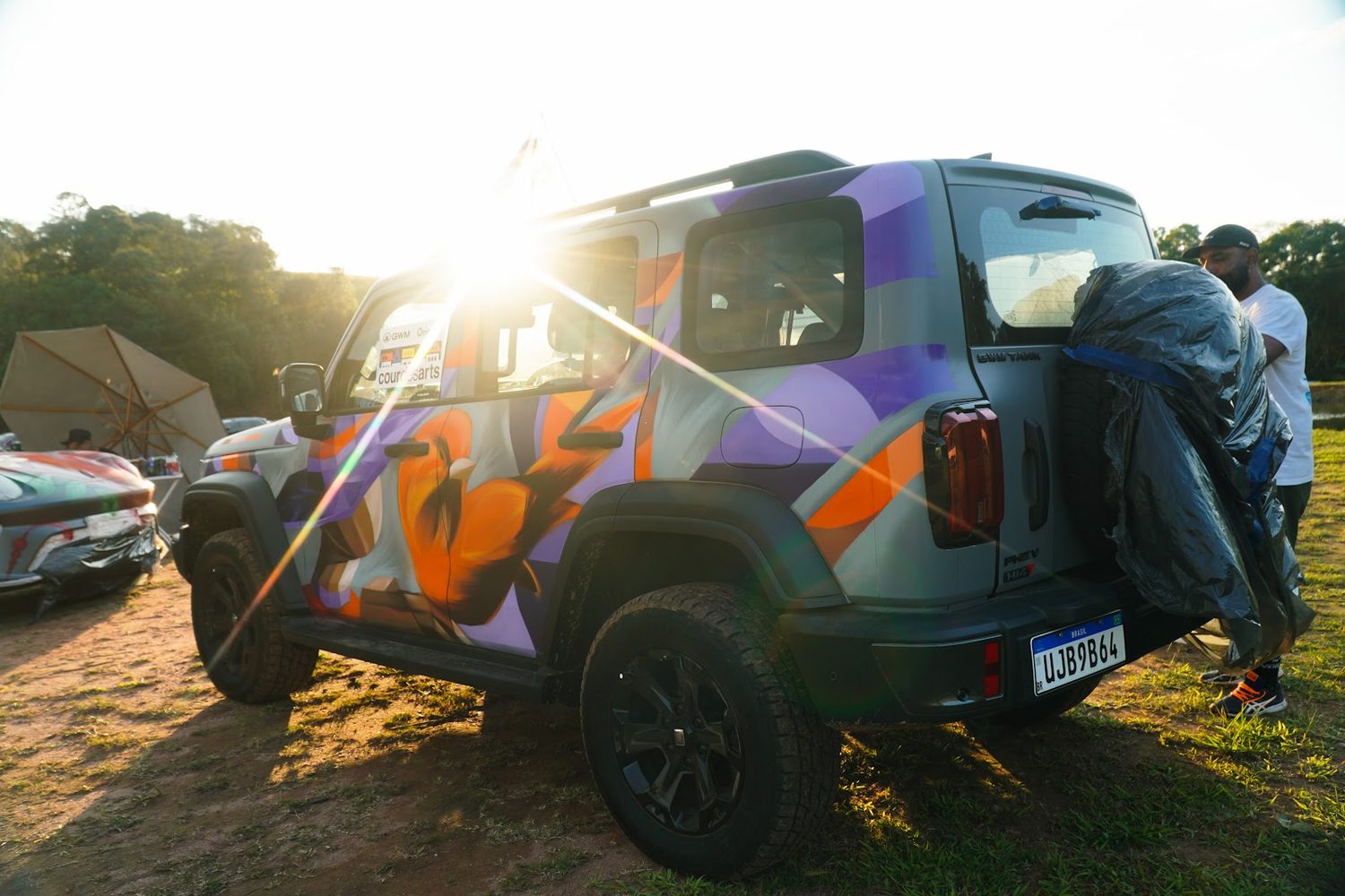 Carro com pintura colorida no gramado